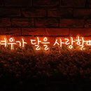 여우PC | [주문 제작 네온사인] 여우도 사랑을 합니다. 여우가 달을 사랑할때 제작 후기.