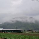 어제의 그림 오늘의 인문학 이미지