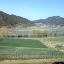 사슴자연방목장 이미지