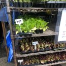 흥농종묘사 이미지