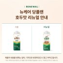 올프레쉬 | 헤트라스 수퍼 올데이 프레쉬 데오티슈 3개입 솔직 후기