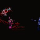 광화문 그 사내 이미지