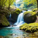 황혼농장 | 고창여행 선운사 상사화 꽃무릇 개화 현장 후기