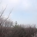 내치해수욕장 네이버블로그