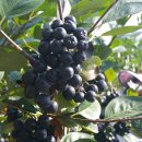 달천농장 이미지