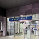 한일동물약국 | 강아지랑 배타고 제주도 여행 : 완도 - 제주 (실버클라우드 후기)