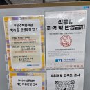 부산수학문화관 | 부산 수학문화관 관람 후기