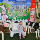 가야목장 이미지