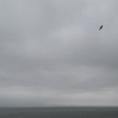 모다아울렛 이미지