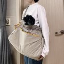 베베파우 - 김포시 양곡4로 84 | [강아지 슬링백 추천] 베베파우 앞가방 한달 실사용 후기 / 착용법·레인커버 영상 포함