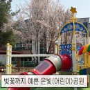 큰길어린이공원 | 광주 광산구 은빛, 은빛어린이공원 벚꽃 산책 후기 ㅣ 봄에 가기 좋은 동네 공원