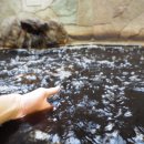 중앙역사공원(북쪽) 이미지