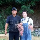 주말 캠핑 불멍 군고구마 산지직송 여수능서농원 꿀고구마5kg