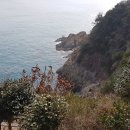 주식회사 대교 이미지