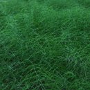 바람의 집 이미지