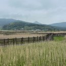 풀등민박 이미지