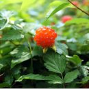 밝은마음 이미지