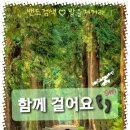 #당뇨,혈압,동맥경화,고지혈증죽음의4중주 ♤이젠피트수제오소틱 이미지