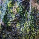 용단농장 이미지