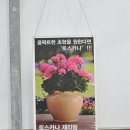 농업회사법인 (주)한미종묘 이미지