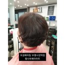 모결헤어팀 부평시장역점 헵시바헤어아트 네이버블로그