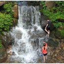 숲속그린펜션 이미지