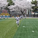 신광초교 이미지