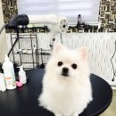 호텔구미 이미지