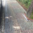 여주장어 명성회관 이미지