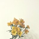 아를포레스트 네이버블로그