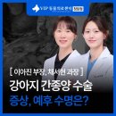 수명 | 강아지 간종양 증상, 수술 후기 예후 수명은?