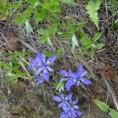 우영산업(주) 이미지