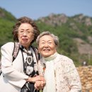 소풍에서 이미지