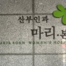 마리본문화원