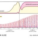 경희스마일한의원 이미지
