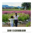 창원단감테마공원 | 창원 단감테마공원 핑크뮬리 가볼만한 곳 추천