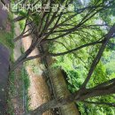 씨밀레자연관광농원