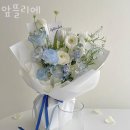 앞뜰리에