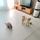 하대동269 | 6월 4주차 주간일기