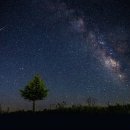 지금관광농원 이미지