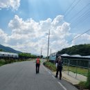 남면 행정복지센터 이미지