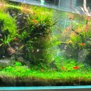 가든치과의원 이미지