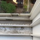 봄맞이 우리집 정리쓱싹 | 결혼 전 신혼집 입주청소, 믿고 맡긴 프리덤클린 사용 후기(내돈내산)