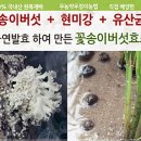 우리건강식품 이미지