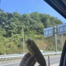 지에스25 충북아쿠아리움점 이미지