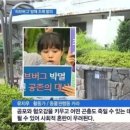 동물 보호단체 "러브버그는 박멸이 아닌 공존의 대상" 이미지