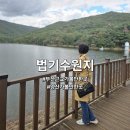 법기수원지 | 부산 근교 양산 가볼만한곳 법기수원지 산책로 후기