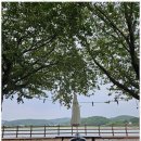 꽃지늘봄펜션 이미지