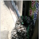 역전식당 이미지