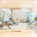 KNOLLO(놀로) 이미지